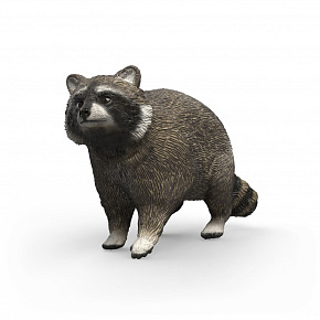 Schleich Tier - Waschbär