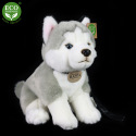 Rappa Plüschhund Husky sitzend mit Leine 28 cm ECO-FRIENDLY