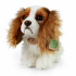 Rappa Pluszowy pies king charles spaniel 25 cm ECO-FRIENDLY