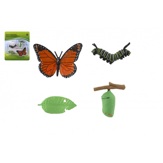 Teddies Entwicklung des Schmetterlings Admiral Kunststoff 4 Stück auf Karte 19,5x22,5x2,5cm