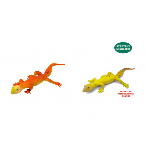 MAGANA Gekon měnící barvu