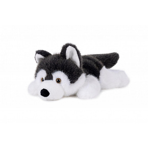 Teddies Pes husky ležící plyš 30cm 0m+