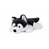 Teddies Pes husky ležící plyš 30cm 0m+
