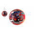 Teddies Ball Super Cars Monster Truck aufgeblasen 14cm im Netz