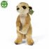 Rappa Plüsch Erdmännchen stehend 30 cm ECO-FRIENDLY