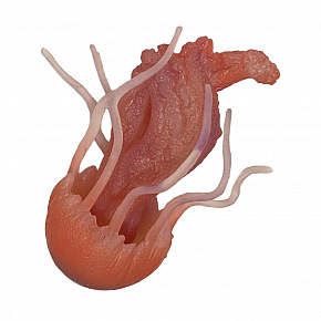 Rappa Medúza gumová 10 cm Rappa Medúza gumová 10 cm