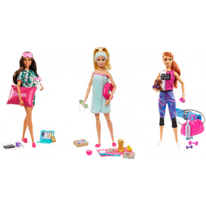 Mattel Barbie WELLNESS DOLL ASST