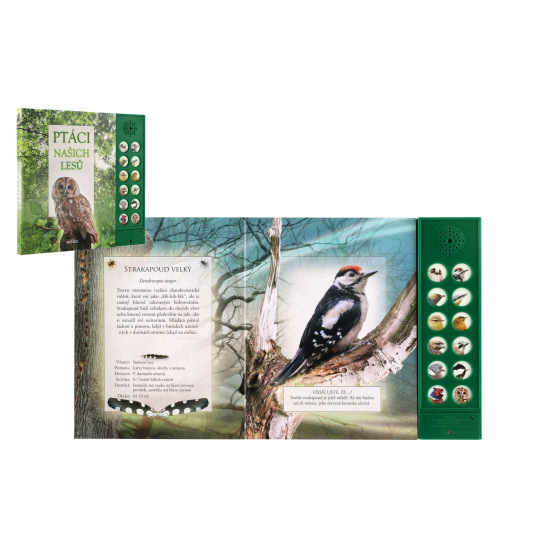 Albatros Soundbuch Vögel unserer Wälder mit Batterien 22,5x21cm CZ Text