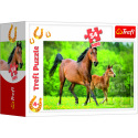 Trefl Minipuzzle 54 dílků Koně 4 druhy v krabičce 9x6,5x4cm