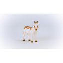Schleich 13961 Zvířátko - Osel americký skvrnitý