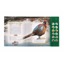 Albatros Soundbuch Vögel unserer Wälder mit Batterien 22,5x21cm CZ Text