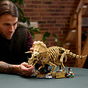 LEGO Jurassic World 77985 Dinosaurierfossilien: Triceratops