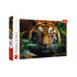 Puzzle Divoký Tygr 1000 dílků 68,3x48cm v krabici 40x27x6cm