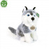 Rappa Plüschhund Husky sitzend 30 cm ECO-FRIENDLY