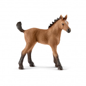 Schleich 13854 Zvířátko - hříbě plemene Quarter