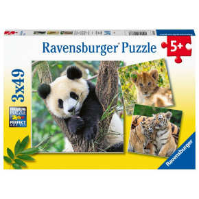 Ravensburger Panda, tygrys i lew 3x49 elementów