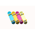 Teddies Fingerboard schraubbar Kunststoff 9cm mit Zubehör, 4 Farben