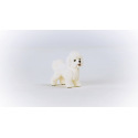 Schleich 13963 Zvířátko - Bišon frisé