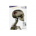 MFP Rappa Fensterfolie Halloween WDH-610