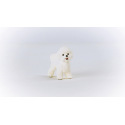 Schleich 13963 Zvířátko - Bišon frisé