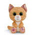 NICI Glubschis pluszowy kot tabby Tabbrey 15cm, ZIELONY