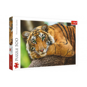 Trefl Puzzle Portrét tigra 500 dielikov 48x34cm v krabici 40x27x4,5cm