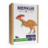 MERKUR - Stavebnice Merkur - DINO - Parasaurolophus