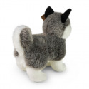 Rappa Plüschhund Husky stehend 23 cm ECO-FRIENDLY