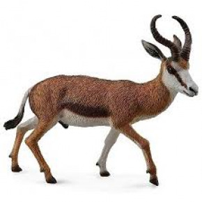 Collecta Antilopa skákavá