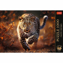Trefl Puzzle Premium Plus - Photo Odyssey: Wilder Leopard 1000 Teile 68,3x48cm in Schachtel 40x27x6cm