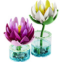Botanicals 11511 Lilie wodne
