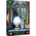Trefl Puzzle Magic Collection: Čarodějnický učeň 1000 dílků 48x68,3cm v krabici 27x40x6cm