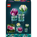 Botanicals 11511 Lilie wodne