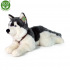 Rappa Plüschhund Husky mit Halsband liegend 60 cm ECO-FRIENDLY