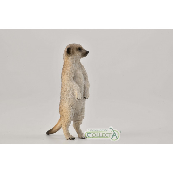 Collecta Erdmännchen stehend