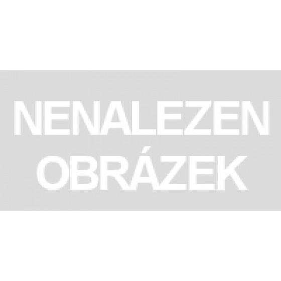 4M Výroba a malování odlitků – zvířátka