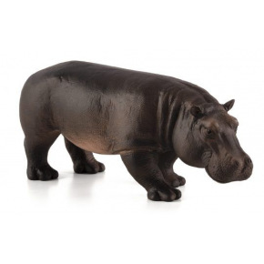 Rappa Mojo Animal Planet samica hipopotama