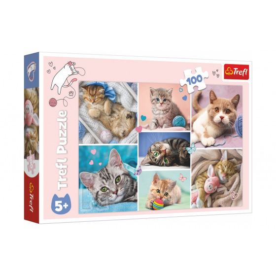 Trefl Puzzle Koťátka 41x27,5cm 100 dílků v krabici 29x19x4cm