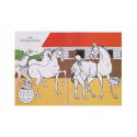Omalovánky Vybarvi si koně 21x29cm