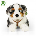 Rappa Plüsch Australian Shepherd liegend 61 cm ECO-FRIENDLY