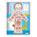 Woody Puzzle "Lidské tělo" - Kluk CZ