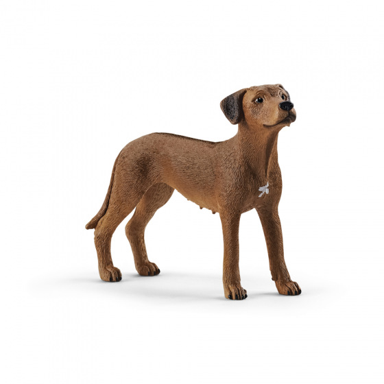 Schleich 13895 Zvířátko - pes ridgback rhodéský