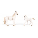 FAUNICA Sada koní s lipicánem