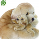 Rappa Plyšový labrador 27 cm ECO-FRIENDLY