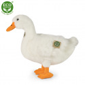 Rappa Plyšová kachna bílá 33 cm ECO-FRIENDLY