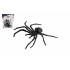 Pavouk černý 5ks plast 10x5cm v sáčku