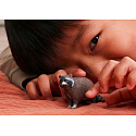 Schleich 14937 Tier - Waschbär