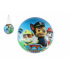 Teddies Ball Paw Patrol/Paw Patrol aufgeblasen 23cm im Netz