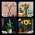 Botanicals 11505 Leśne grzyby
