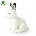 Rappa Plüsch Polarfuchs sitzend 30 cm ECO-FRIENDLY